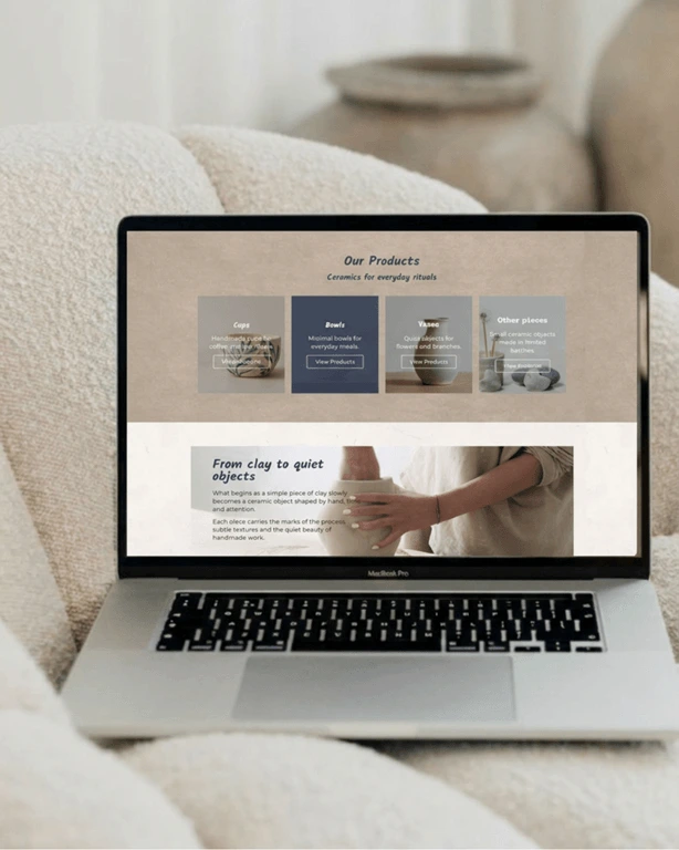 professional web design in Iceland